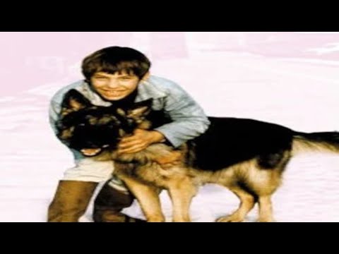 Série Sébastien et la Mary-Morgane 1970 / 30 min / Famille