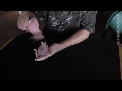 Spring Street Aces by Steve Forte 2 - www.janmagic.com