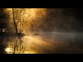 Morning Alarm Tone With Piano And Nature Sounds Free Ringtone Downloads