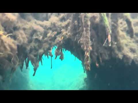 Scuba Cenote Cristalino Mexico 🇲🇽