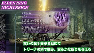 【ナイトレイン】　救いの旗手安寧者たち戦にてトリ―ナの剣で挑み安らかな眠りを与える