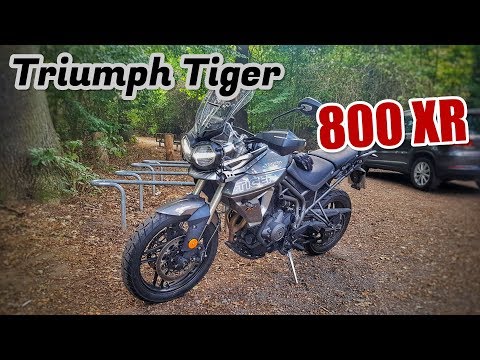 Triumph Tiger 800 XR | Probefahrt | RAV 207