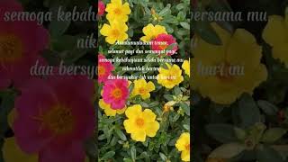 Download lagu Ucapan selamat pagi dan doa pagi hari minggu ini #short mp3