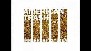 Innerpartysystem - American trash