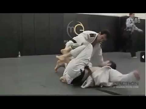 Marcelo Garcia vs Ryan Hall -- rolling in the gi