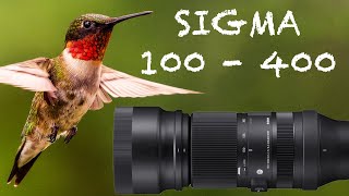 Video thumbnail for SIGMA 100 - 400 SONY E MOUNT IN 2023 | Review by Curtis Snapshot