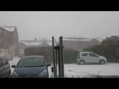 What happend to light flurry