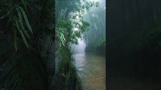 Download lagu Snap wa lagu noah kisah cinta ku mp3