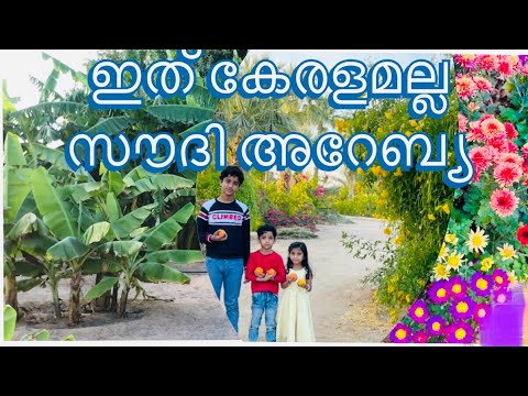 A beautiful garden in  Uyun Al Jawa Vlogs#49