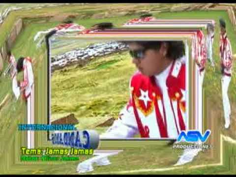 Jamas Jamas - Grupo Los Candams