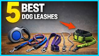 ✅ Top 5 Best Dog Leashes for Durability and Comfort in 2026