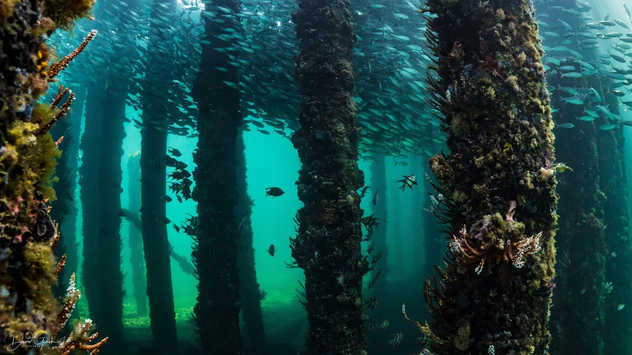 Reality is Underwater