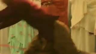 Download lagu Vidio lucu dan ngakak dari likeee kakek viral jatuh saat shalat mp3