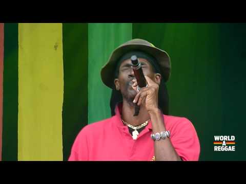 Midnite - Rasta to the Bone @ Reggae Geel 2014 (BE)