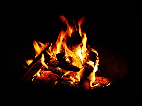 Campfire Sleep Sounds with Crickets Chirping 🔥 Nature White Noise for Sleeping or Relaxation