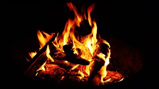Campfire Sleep Sounds with Crickets Chirping 🔥 Nature White Noise for Sleeping or Relaxation