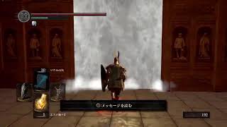 身内向け　ダクソ　四回目