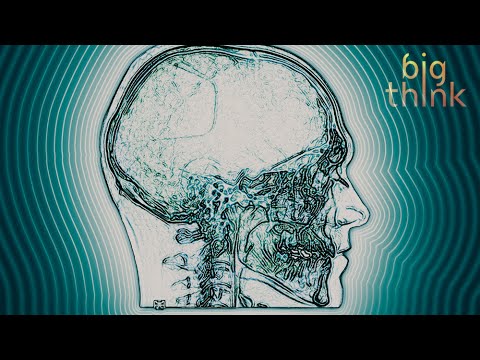 尼古拉斯-尼葛洛龐帝：大腦中的納米機器人可能是學習的未來。 (Nicholas Negroponte: Nanobots in Your Brain Could Be the Future of Learning)