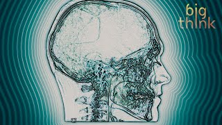 Nicholas Negroponte: Nanobots in Your Brain Could Be the Future of Learning