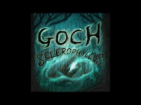 Goch & Forest Bamp - Polaris