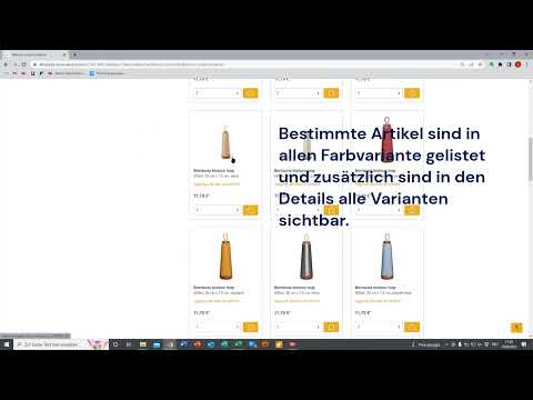 B2B shop tutorial deutsch