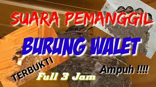 Download lagu SUARA PANGGIL BURUNG WALET FULL 3 JAM#walet#suaraburungwalet mp3
