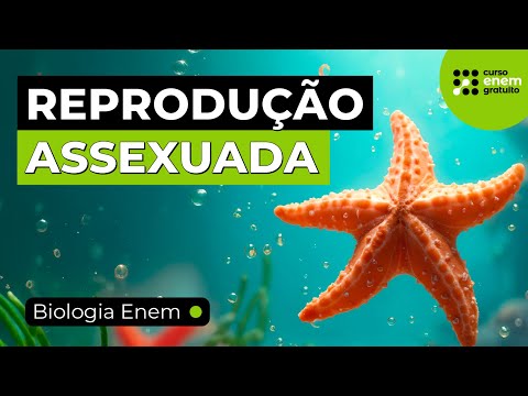 ASEXUAL REPRODUCTION: TYPES, ADVANTAGES AND DISADVANTAGES | Biology Summary for Enem