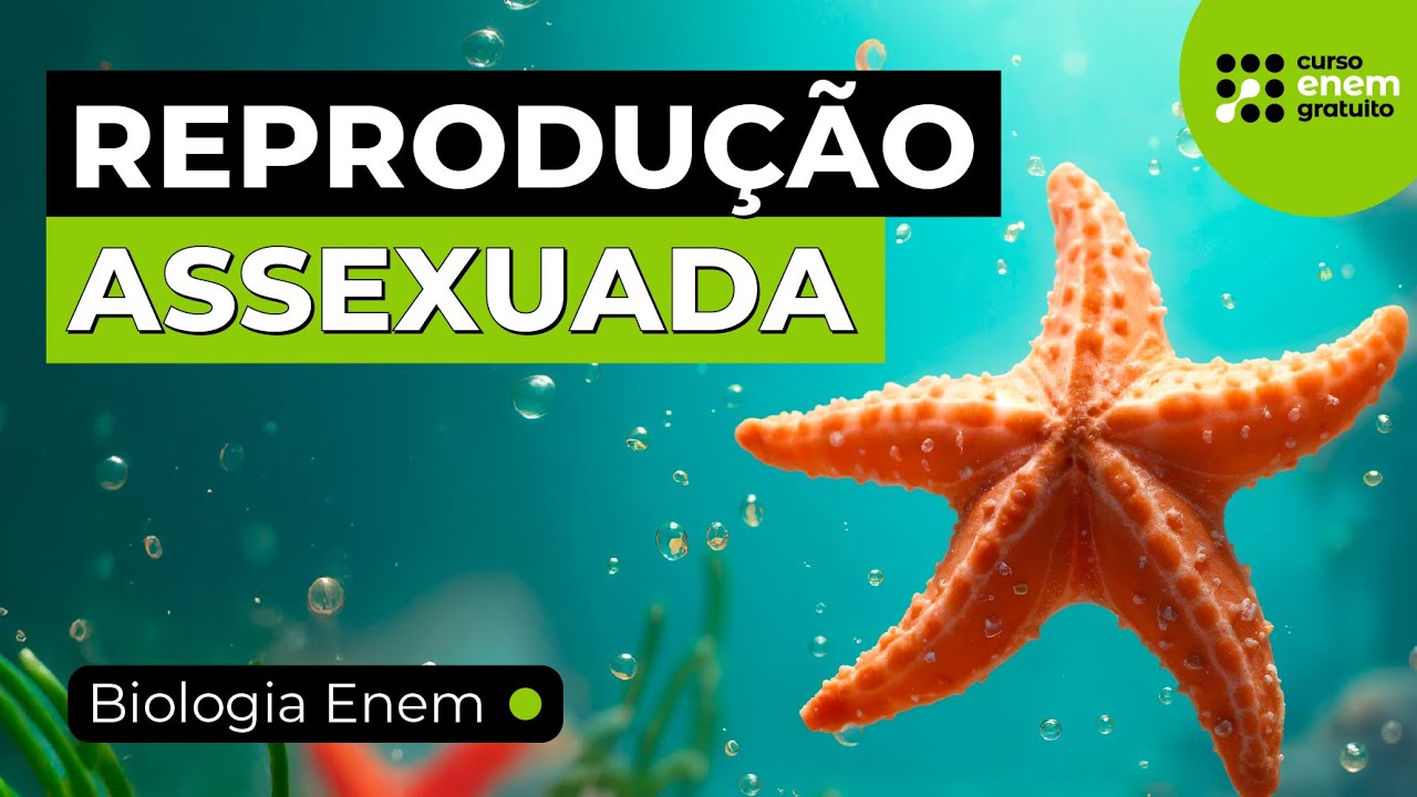 REPRODUÇÃO ASSEXUADA: TIPOS, VANTAGENS E DESVANTAGENS | Resumo de Biologia para o Enem