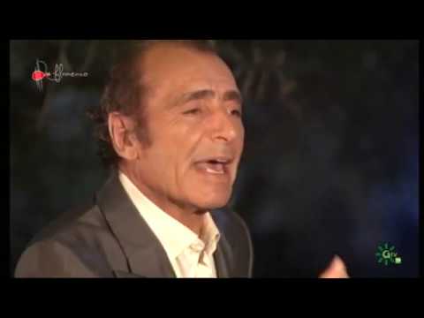 Lo Flamenco. Beni de Cádiz, Argentina, David Pino...2016