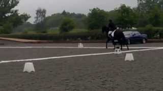 preview picture of video 'Rosie's first dressage test'