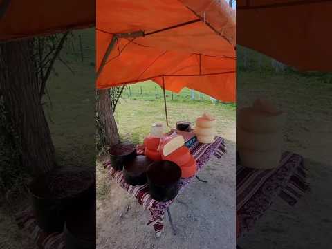 Esse Queijo Artesanal na Ruta 1 (Tambo El Rocio) Vale a Parada 🧀🇺🇾 | Viagem de Moto pelo Uruguai