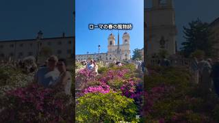 スペイン広場が花で染まる🌸毎年この時期だけ見れる特別な景色タイミング合えば絶対行ってほしい#ローマ旅行 #イタリア旅行 #スペイン広場 #ヨーロッパ旅行