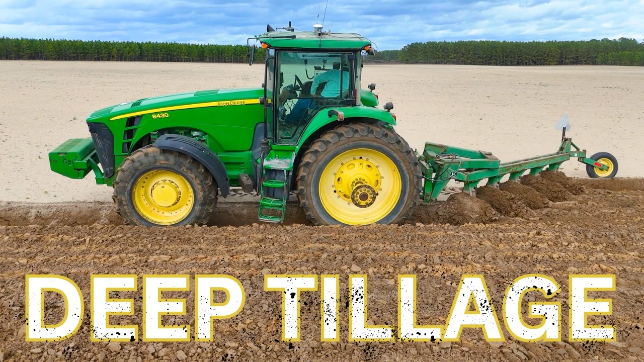 No-Till Farmers Will HATE This Video