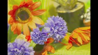 Plants of Refuge Crisis