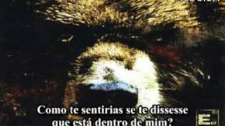 Element Eighty - Killing Me (tradução - pt)