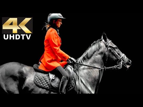 LG 4K Demo - Tru Black in Dolby Digital