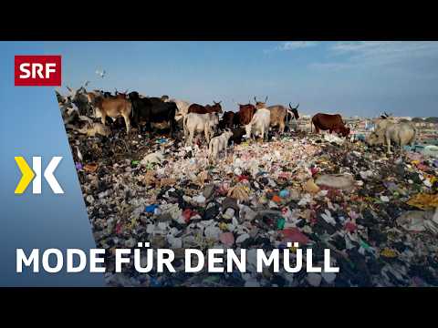 The fight against "fast fashion": Sustainable clothing thanks to recycling | 2023 | Kassensturz |...