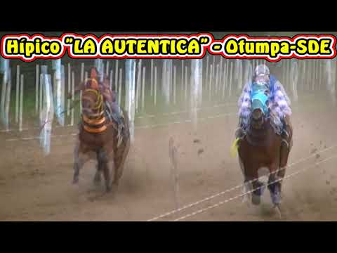 MANANTIAL en HIPICO "LA AUTENTICA" (OTUMPA-SDE 19-04-26)