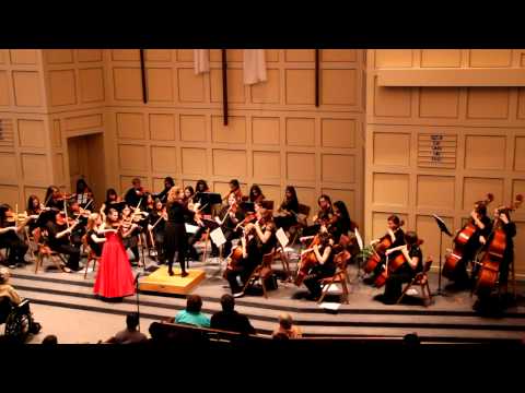 J.S. Bach Violin Concerto No.1 in A Minor Mvt I Allegro