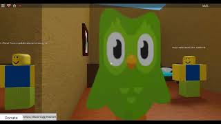 Duolingo story roblox