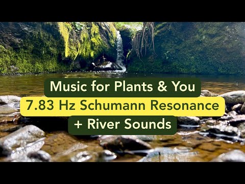 7.83 Hz Schumann Resonance Healing Music for Plants & You 🌱 Pure Tone with River Sounds