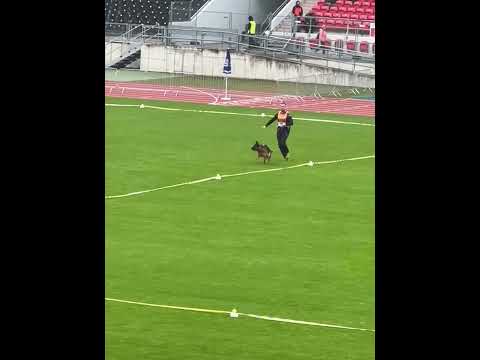 SG3 to SG10 BSZS 2022 - JKH - Junior females - Nurnberg- 12-18 Months - 2022