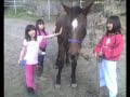 Eliza Elise Horsing Around 3 Queen Seon Deok