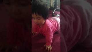 Tara Vo tap bo 02 2013 4415