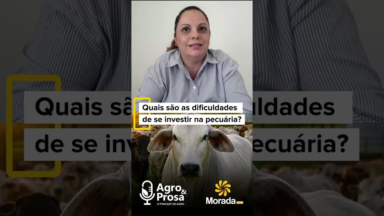Por que o crédito rural ainda não chega a tantos pecuaristas?