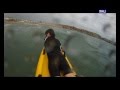 Escucho el grito de auxilio de este niño y este rescatista sabia que hacer 