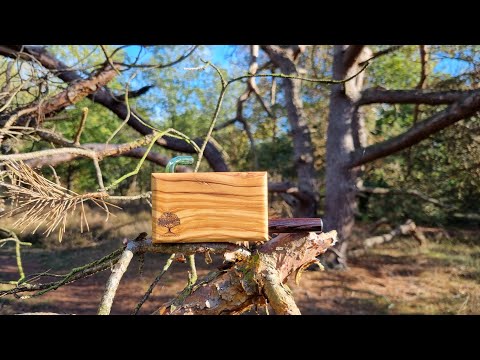 Dreamwood Dobby unboxing/testing (^_-)