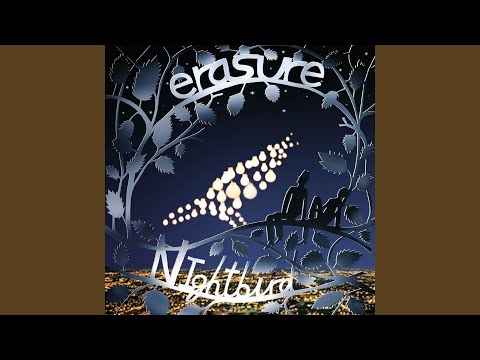 I Broke It All in Two - Erasure