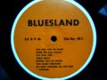 Junior Wells - Cha Cha Cha in Blues
