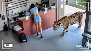 75 of the Most Powerful Animal Moments Caught on Camera